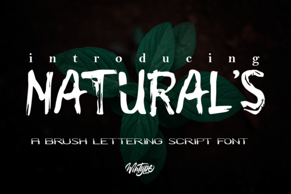 Natural s: A Font That Elevates Your Brand's Look